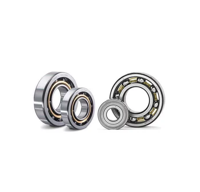 SKF Bearing