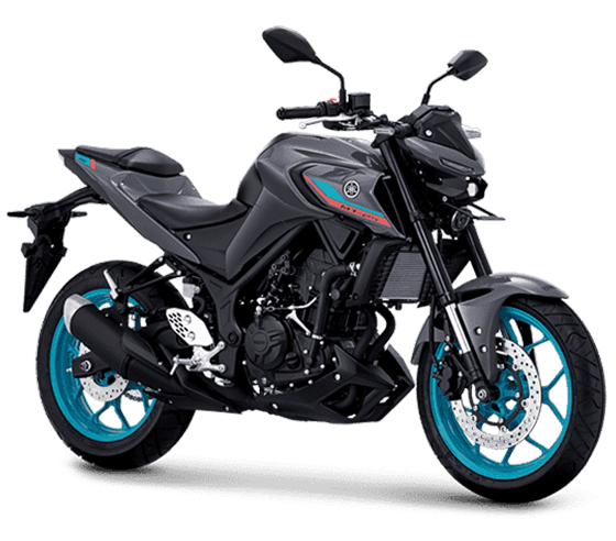 Yamaha Motorcycle Sport Mt-25