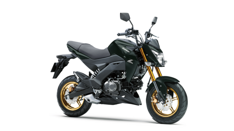 Kawasaki Motorcycle Z125 Pro