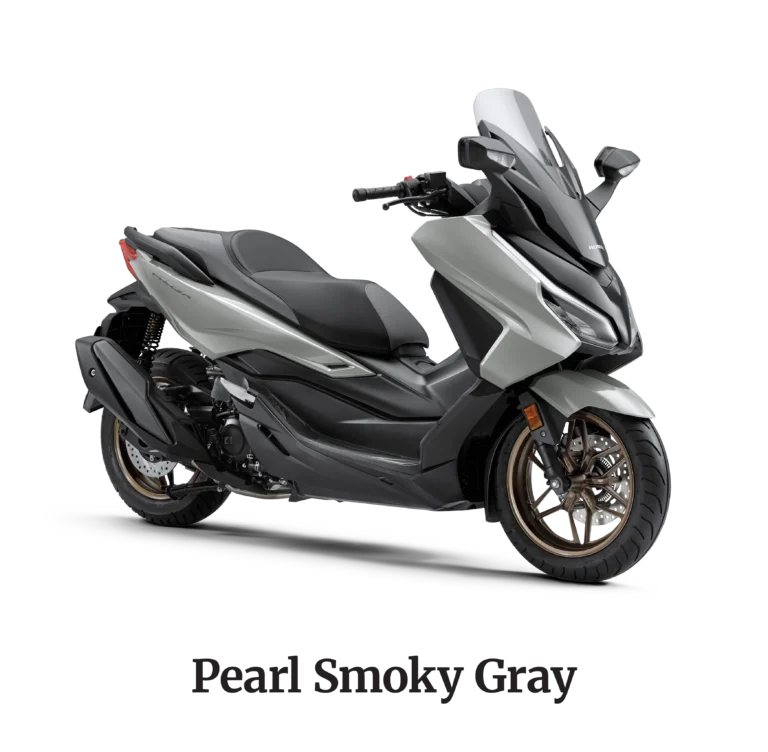 Honda Forza Pearl Smoky Gray