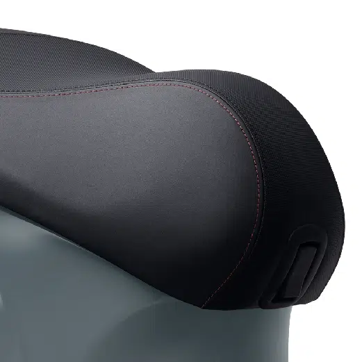Black Saddle With Red Stitching