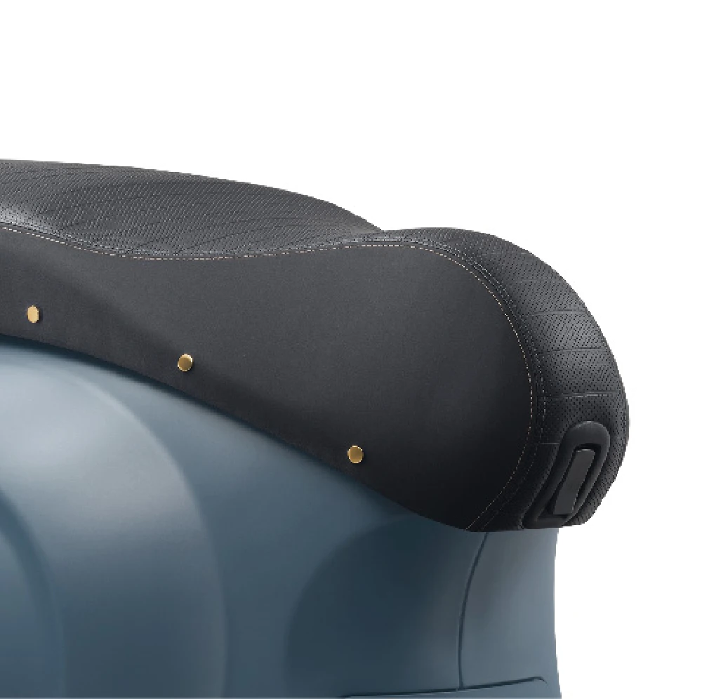 Dedicated Sporty Rear Rack and Saddle With Horizontal Grooves, Shiny Warm-Brass Rivets and Contrats Stitching