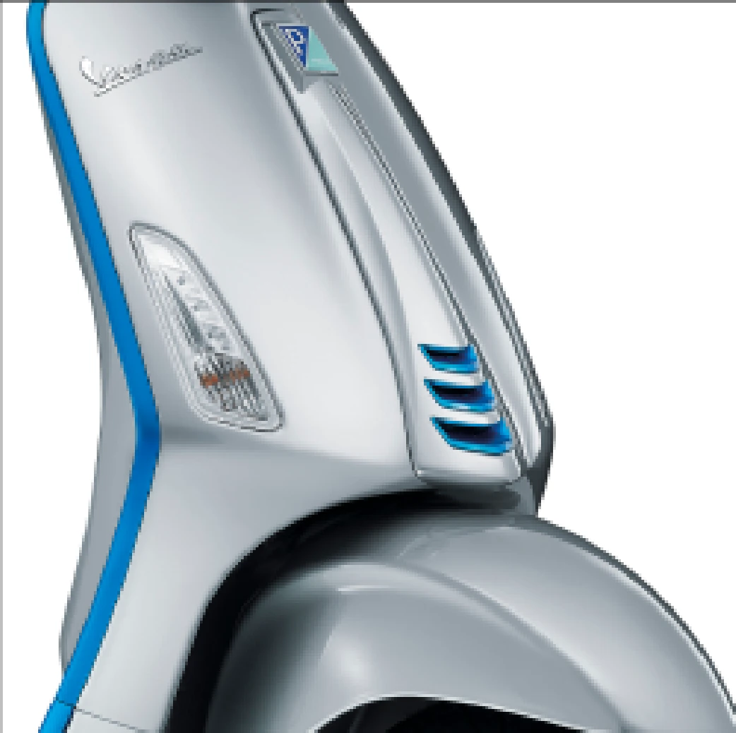 Edges of Shiled and Horn Cover Decoration